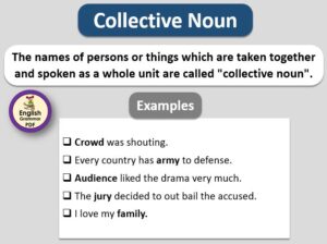 collective noun, types of noun with pdf