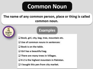 common noun and examples, types of noun