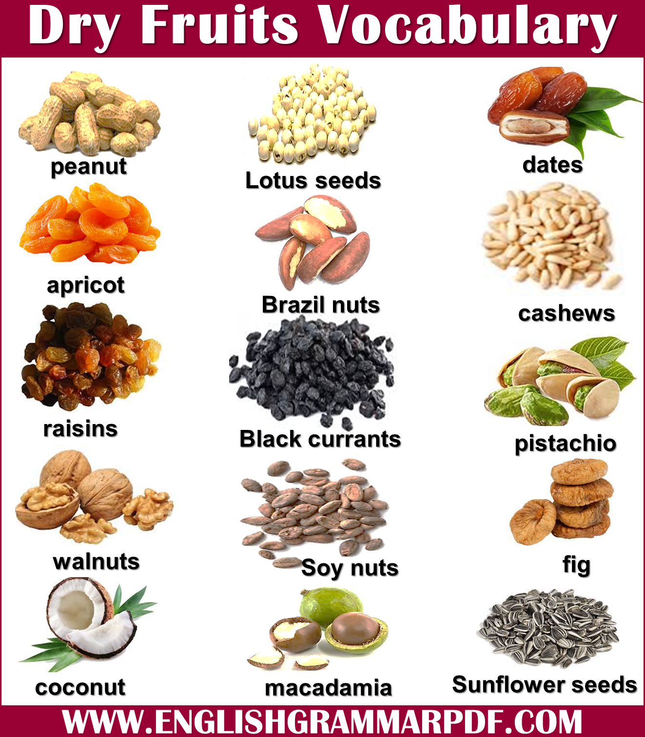 dry fruits vocabulary words with pictures