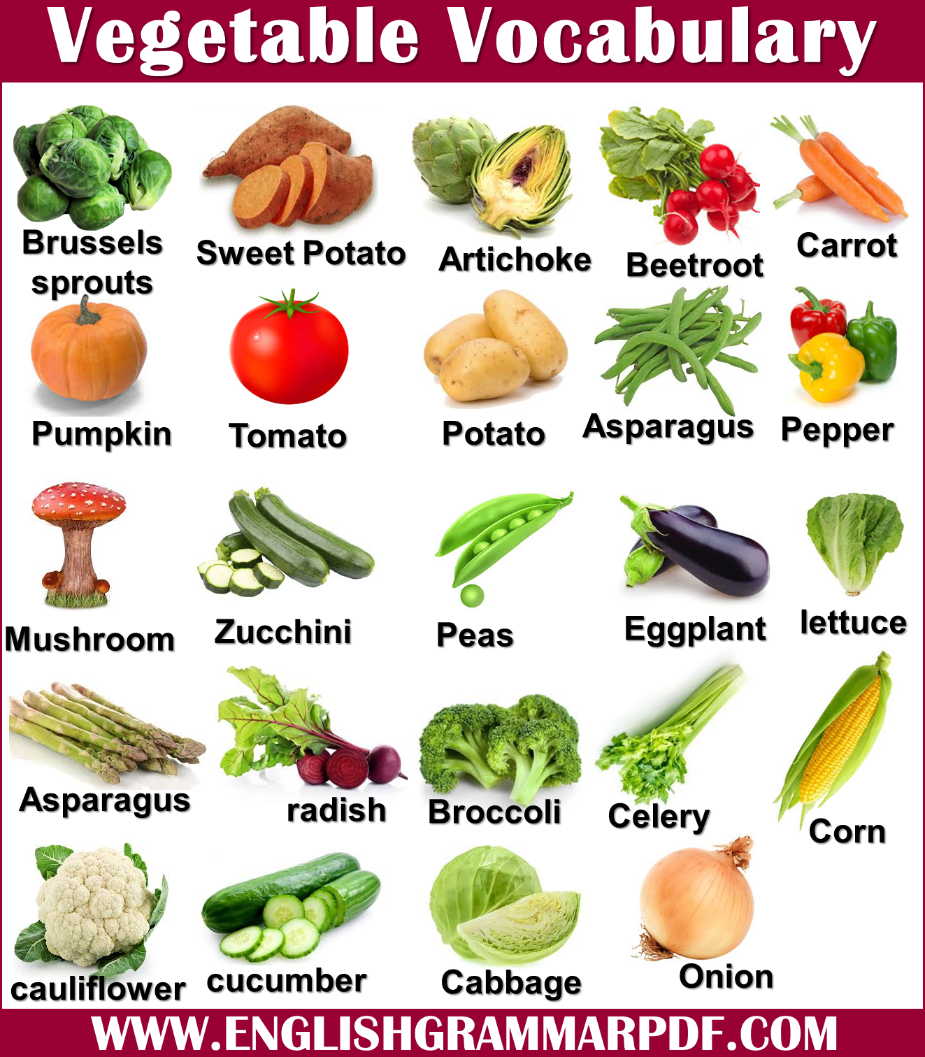 vegetables vocabulary words with pictures