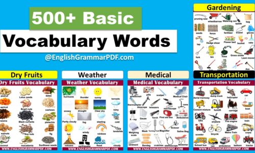 1000 Basic English Vocabulary Words with Pictures (Downlod PDF)