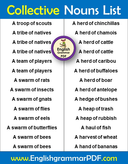list of collective nouns (2)