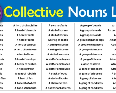 The list of collective nouns: 300+ collective nouns for animals things and birds The list of collective nouns: 300+ collective nouns for animals things and birds
