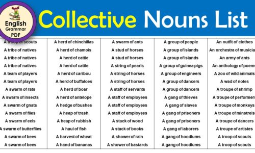 The list of collective nouns: 300+ collective nouns for animals things and birds