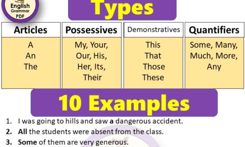 4 Types of Determiners with Examples (Download PDF)