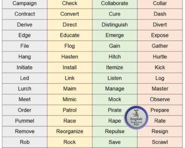 100 Action Verbs List and Example Sentences PDF