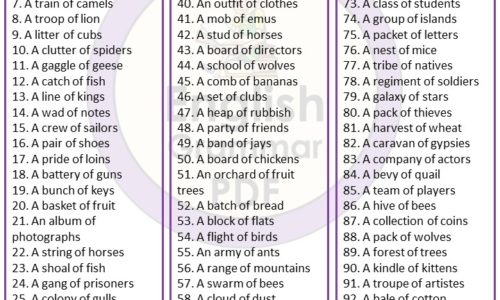 100 Examples of Collective Nouns PDF