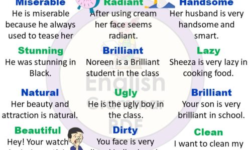 20 Describing Words and Example Sentences PdF