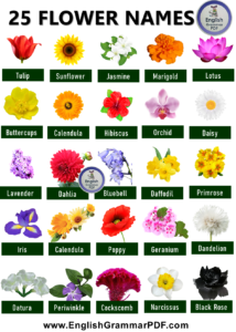 25 flower names