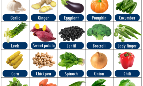 30 Vegetable Names List with Pictures PDF