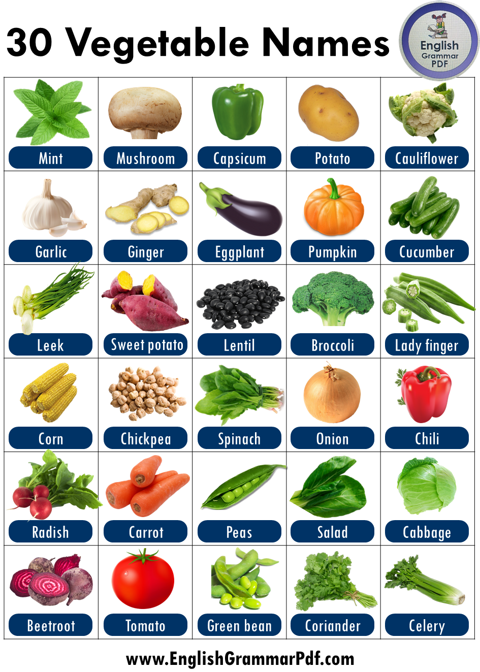 30 vegetable names