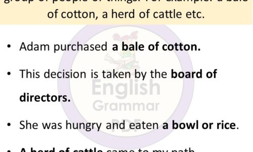 5 examples of collective nouns in sentences