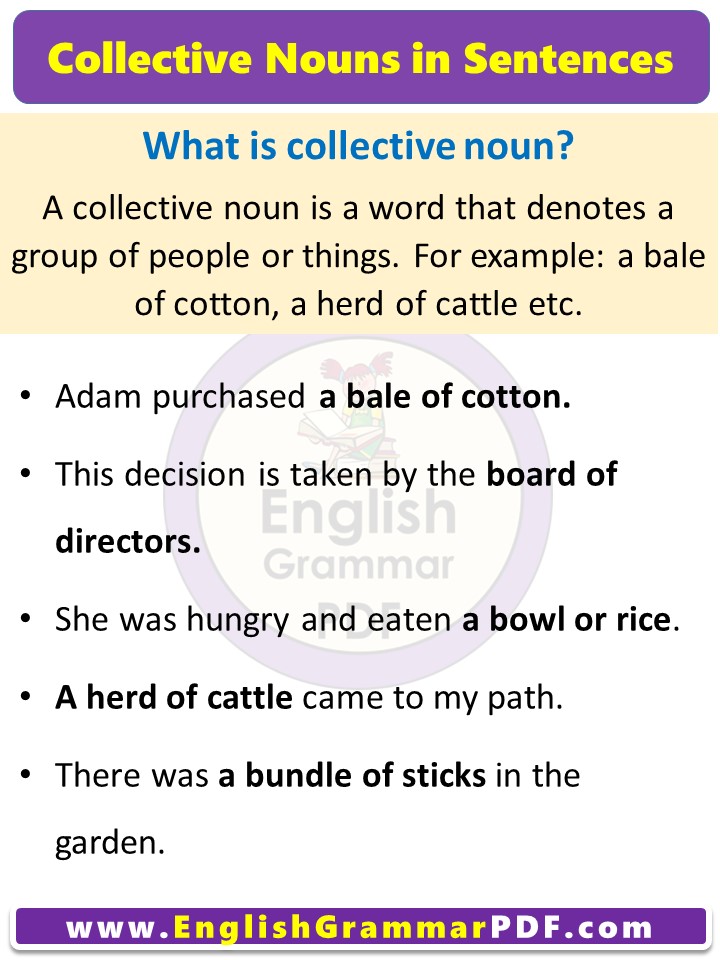 5 examples of collective nouns in sentences