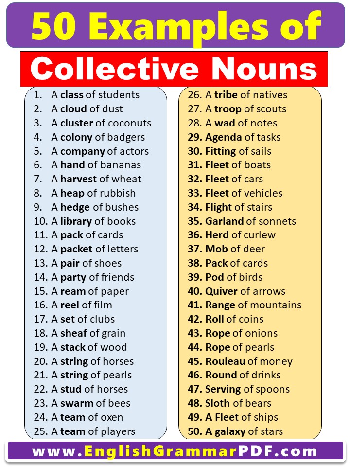 50 Examples of collective nouns
