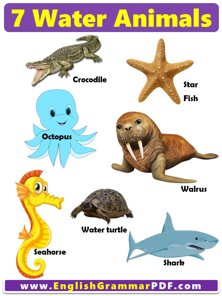 7 water animals name with pictures