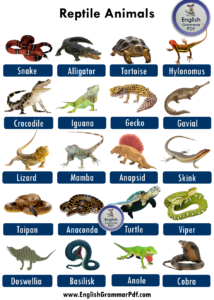 70 Reptiles Animals Names List