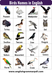 +400 Animal Names From A to Z - English Grammar Pdf