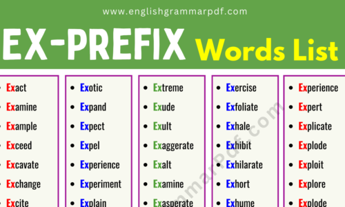 Ex Prefix Words List with Examples