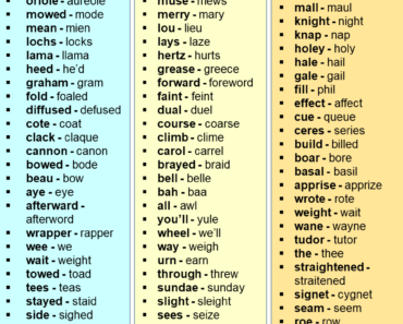 1000 Examples of Homophones Word List PDF