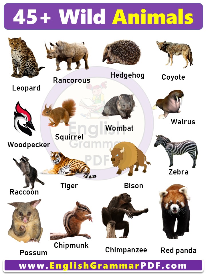 List of 45+ Wild Animals Names in English With Pictures - English ...