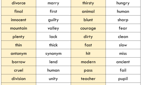 +500 Opposite Words List in English with PDF