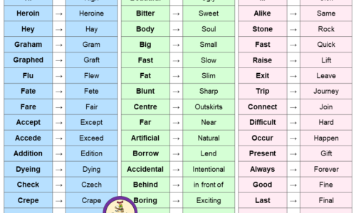 Synonyms, Antonyms and Homonyms Words List in English PDF