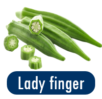 lady finger