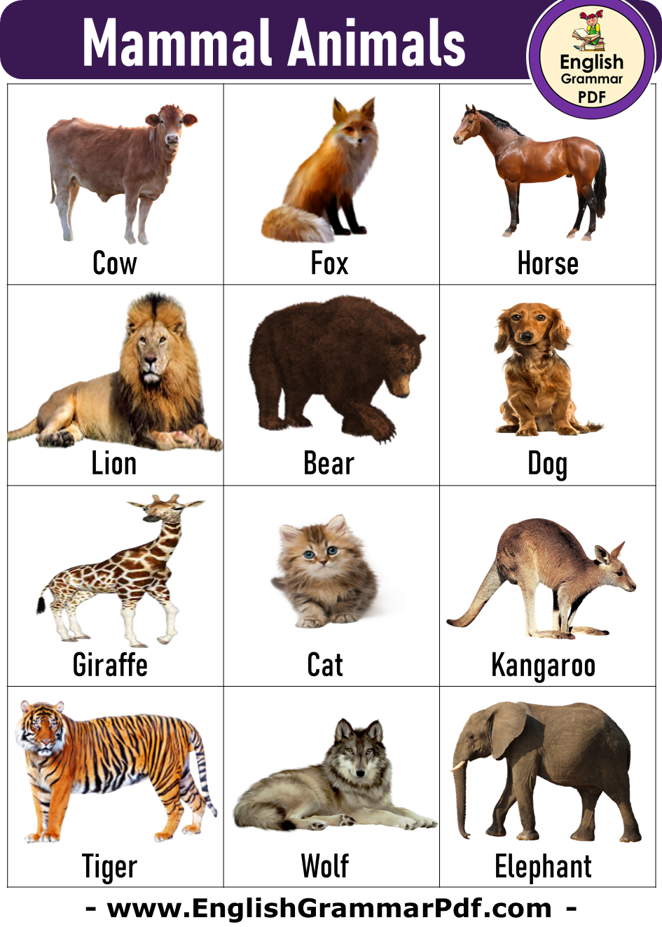 mammals names