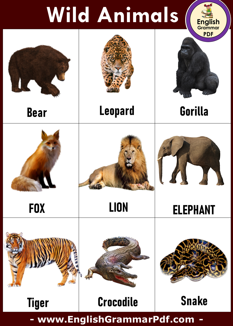 10 Wild Animals Name, Wild Animals in English