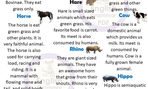 10 Herbivorous Animals Name (Download PDF)