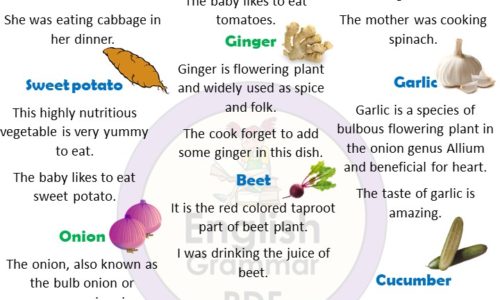 10 vegetable name in English, Definition and examples