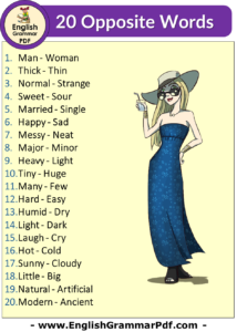 20 opposite words