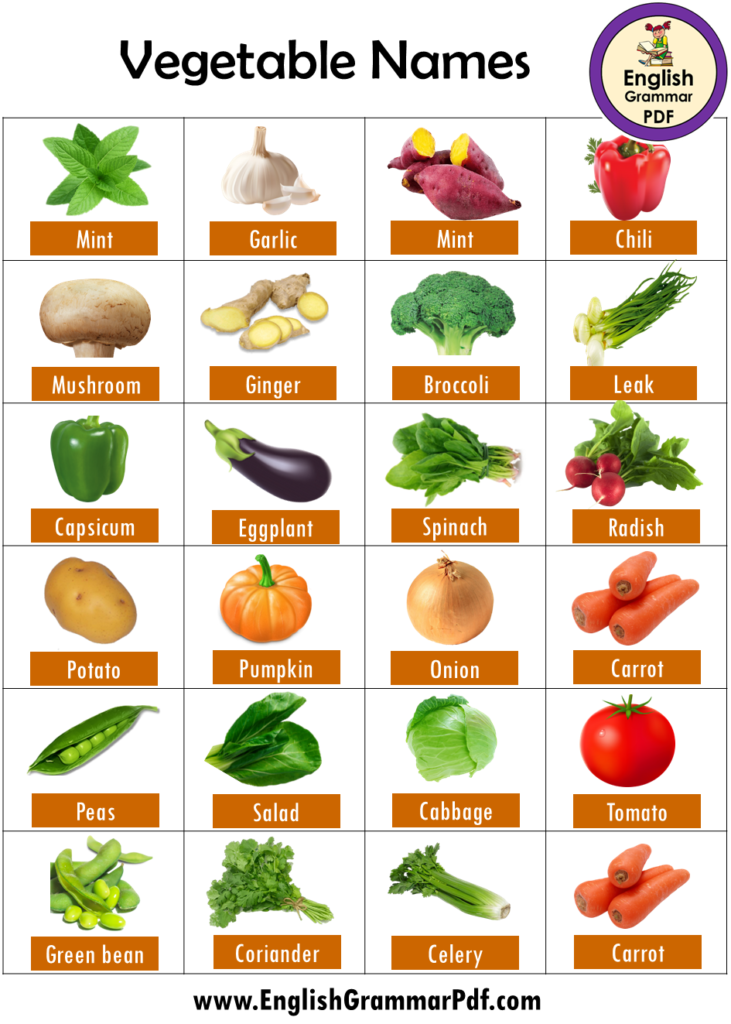 25 Vegetables Names in English