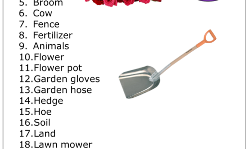 100+ Gardening Vocabulary Words with Meanings