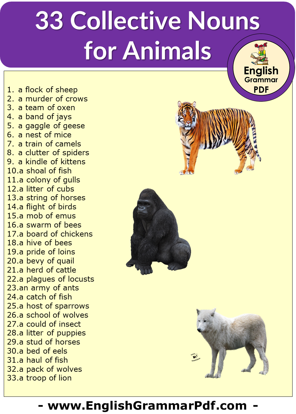 33 collective nouns for animals