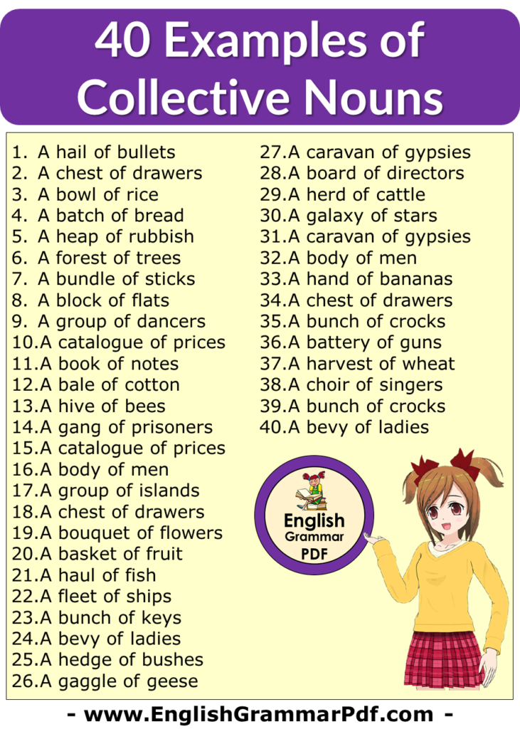 40 Examples of Collective Nouns in English