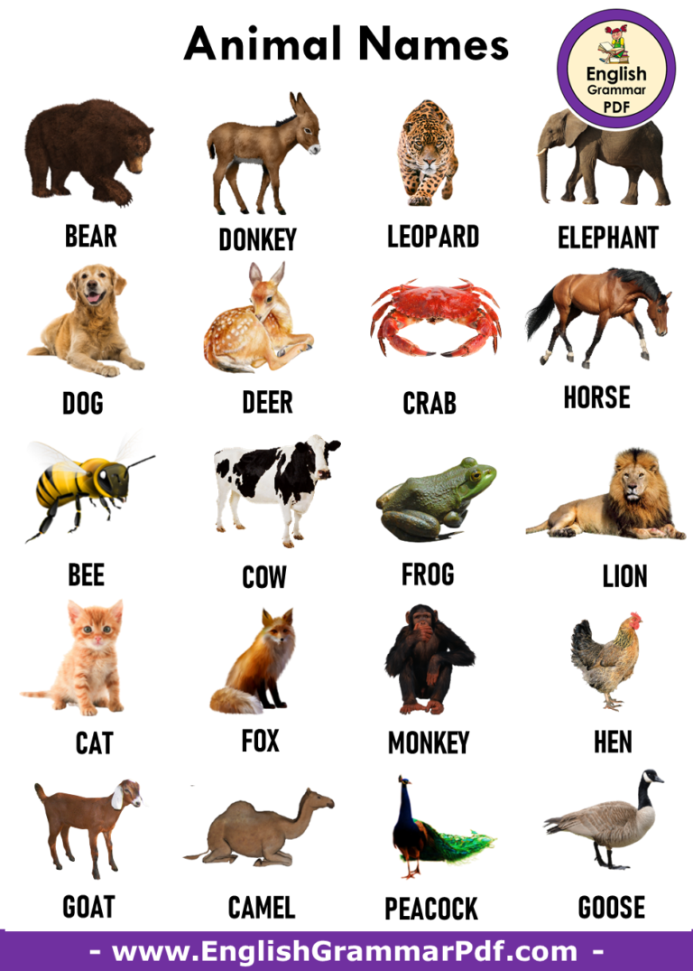 All Animals Name List From A to Z PDF - English Grammar Pdf