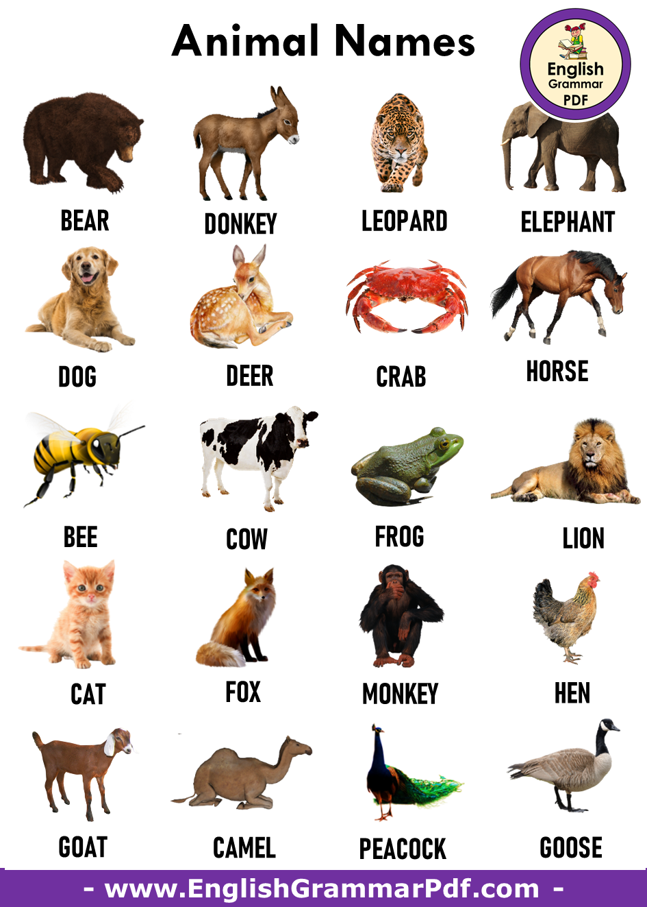 Названия кличек животных