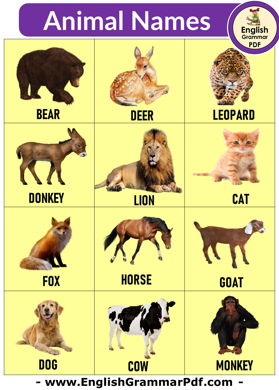 50 animals name, Detailed Animals Names List