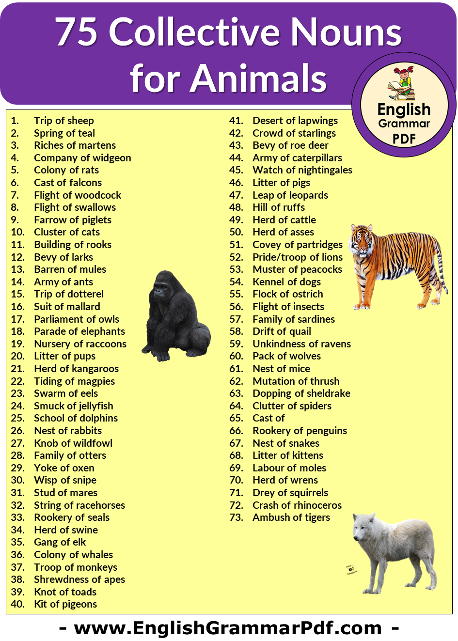 75 Collective Nouns for Animals in English