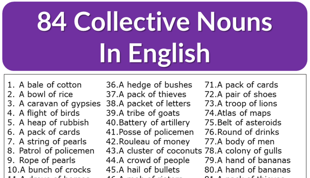 +84 Collective Nouns List in English