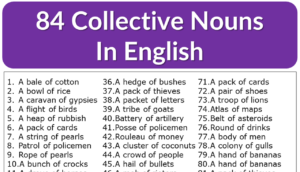 +84 Collective Nouns List in English