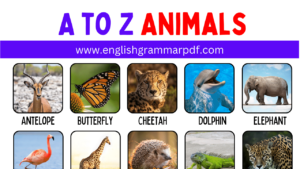 A to Z Animals Copy