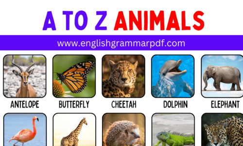 Animals Names List from A to Z With ESL Infographic