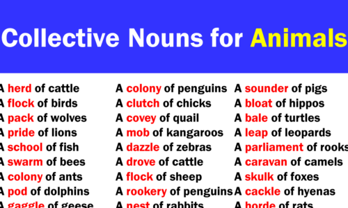 33 Collective Nouns for Animals