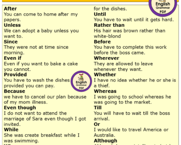 Connectors and Example Sentences in English