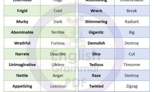 Daily Use Vocabulary Words With Meanings (Download PDF)