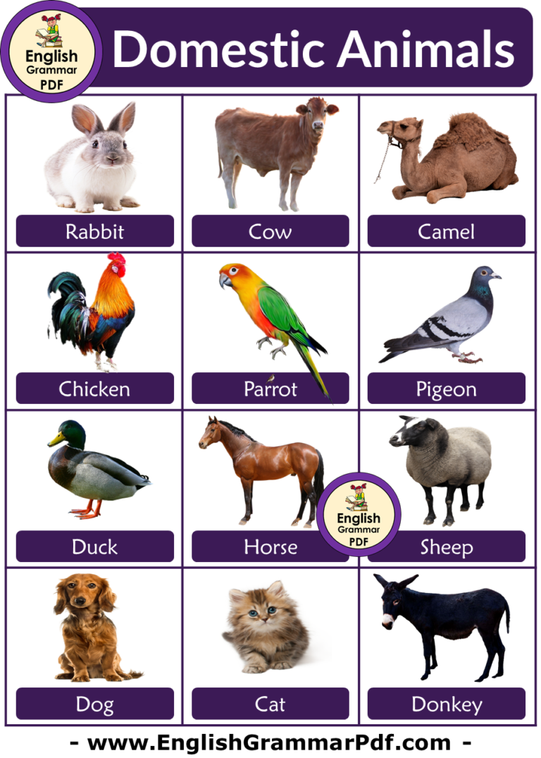 10 Domestic Animals Name, Pictures and Definition - English Grammar Pdf