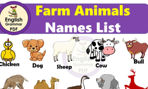 22 Farm Animals Names List (Pictures & Example Sentences)