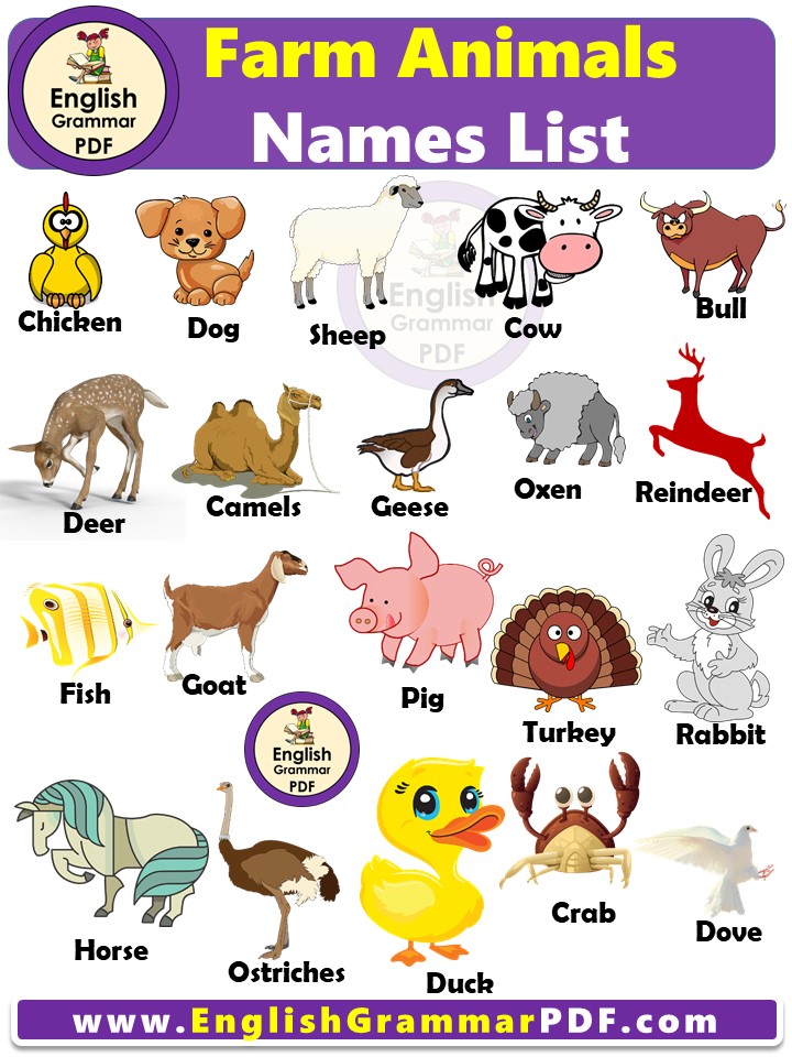 Farm Animals Names list with pictures in english